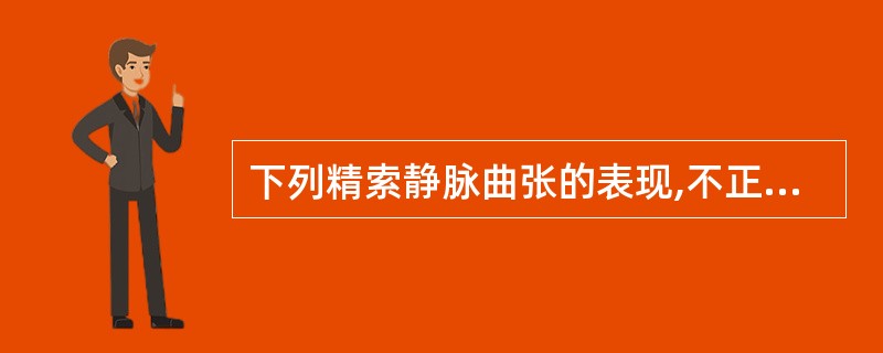 下列精索静脉曲张的表现,不正确的是A、精索静脉纡曲扩张呈丛状B、精索静脉增粗,内