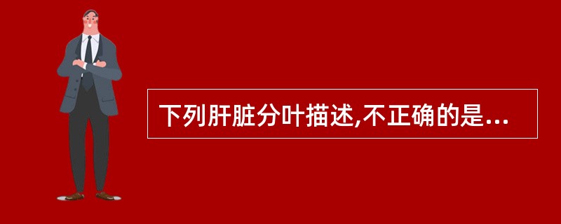 下列肝脏分叶描述,不正确的是A、正中裂将肝分为左、右半肝B、肝左静脉将肝分为左内