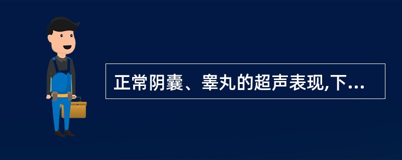 正常阴囊、睾丸的超声表现,下列错误的是A、阴囊内有睾丸、睾丸附件及附睾、鞘膜、精