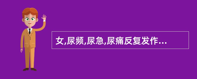 女,尿频,尿急,尿痛反复发作伴低热两年余。尿蛋白(£«),白细胞(£«),偶见白