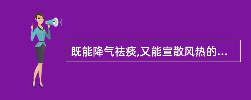 既能降气祛痰,又能宣散风热的药物是()。