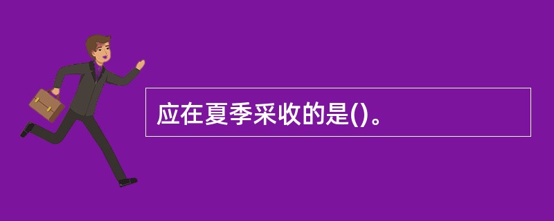 应在夏季采收的是()。