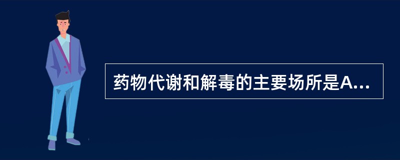 药物代谢和解毒的主要场所是A、小肠B、大肠C、胃D、胰E、肝