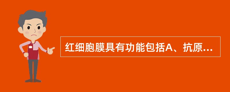 红细胞膜具有功能包括A、抗原性B、吞噬功能C、物质转运D、免疫功能E、维持细胞正