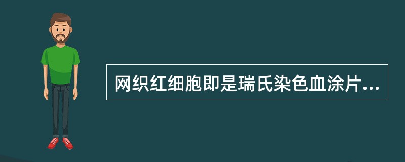 网织红细胞即是瑞氏染色血涂片中的A、大红细胞B、嗜多色性红细胞C、有核红细胞D、