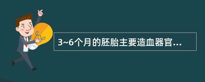 3~6个月的胚胎主要造血器官是 ( )A、卵黄囊B、肝脏C、脾脏D、骨髓E、胸腺