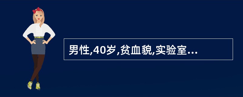 男性,40岁,贫血貌,实验室检查:血片示红细胞部分为低色素,部分为正色素性;网织