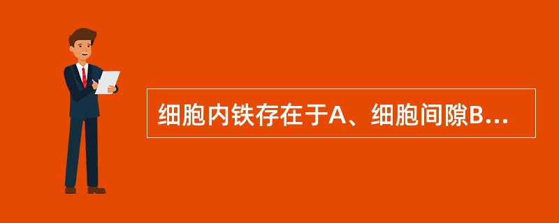 细胞内铁存在于A、细胞间隙B、巨核细胞C、幼红细胞D、巨噬细胞E、细胞核