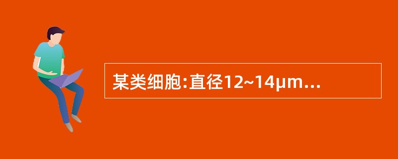 某类细胞:直径12~14μm,胞质丰富,浅蓝色,无颗粒,核£¯浆比率低;核圆形或