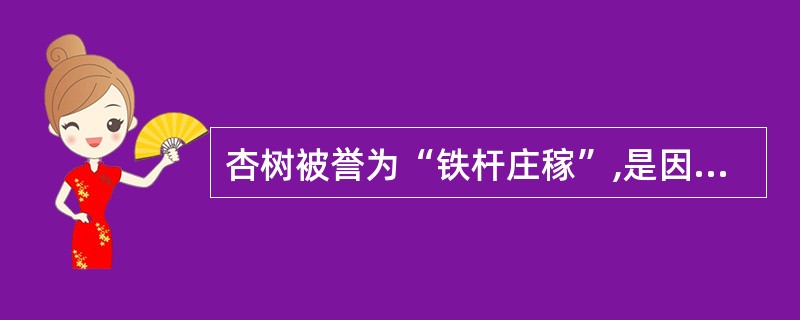 杏树被誉为“铁杆庄稼”,是因为杏树根系强大,适应性极强。( )