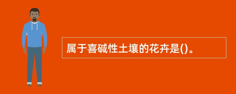 属于喜碱性土壤的花卉是()。