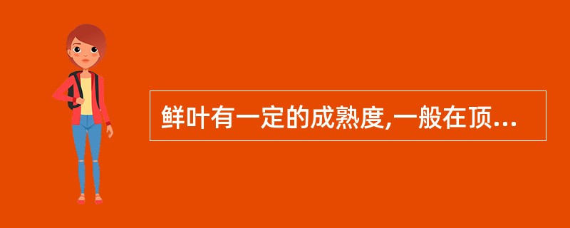 鲜叶有一定的成熟度,一般在顶芽全部开展形成驻芽时采摘是( )的鲜叶原料要求。