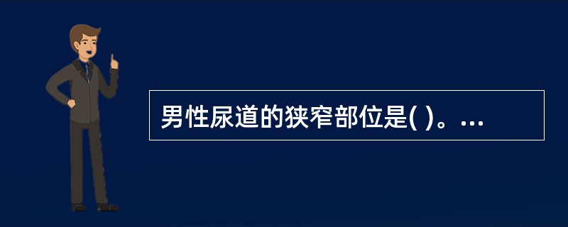 男性尿道的狭窄部位是( )。A、耻骨上弯、耻骨前弯B、尿道外口、尿道内口C、尿道