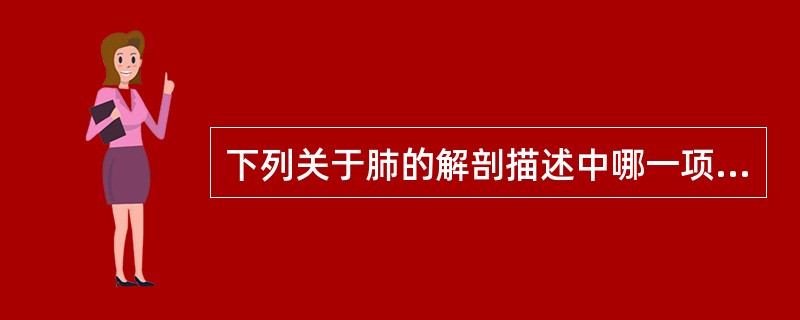 下列关于肺的解剖描述中哪一项是错误的