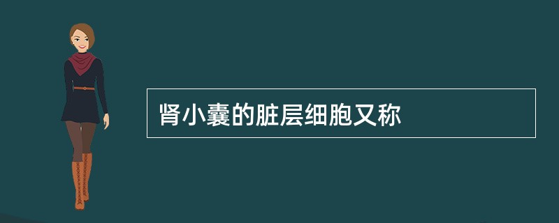 肾小囊的脏层细胞又称