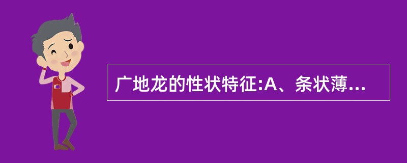 广地龙的性状特征:A、条状薄片B、全体具环节,可见“白颈”C、全体具环节,无“白