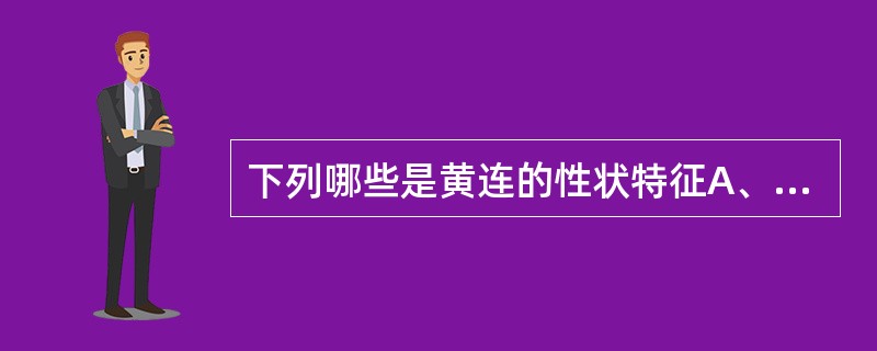 下列哪些是黄连的性状特征A、根茎聚集成簇,形如鸡爪B、表面可见“过桥”C、质坚硬