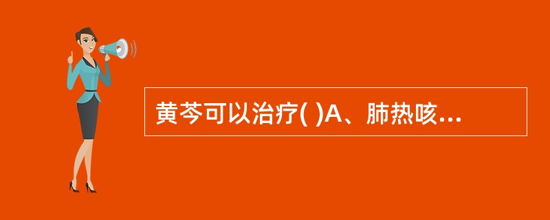 黄芩可以治疗( )A、肺热咳嗽B、湿热泻痢C、血热出血D、胎热不安E、寒热往来