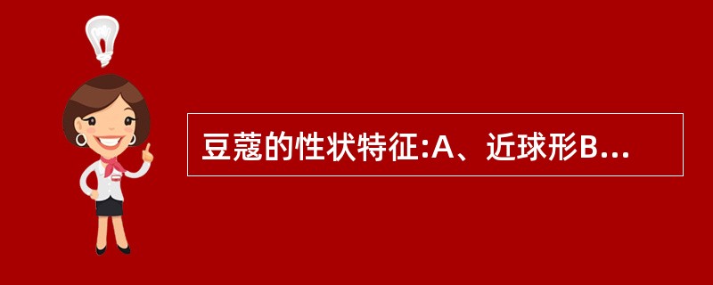 豆蔻的性状特征:A、近球形B、表面黄白色,有3条较深的纵向槽纹C、种子团3瓣D、