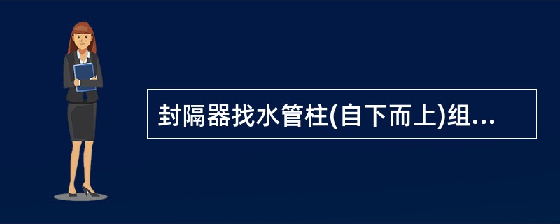 封隔器找水管柱(自下而上)组配正确的是()。