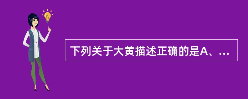 下列关于大黄描述正确的是A、圆锥形,块片状B、表面黄棕色,可见网纹C、断面颗粒型