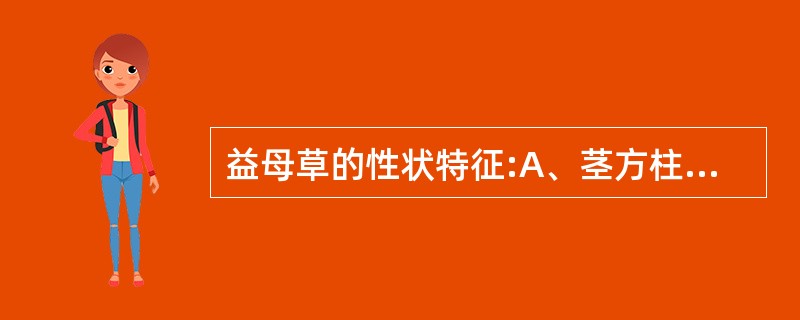 益母草的性状特征:A、茎方柱形B、表面灰绿色,断面可见白色髓C、叶交互对生D、轮