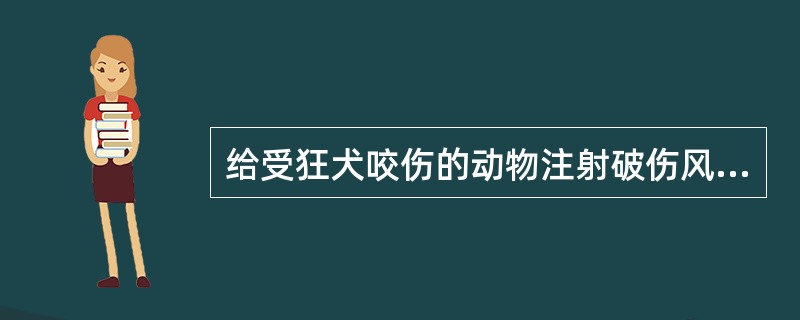 给受狂犬咬伤的动物注射破伤风抗毒素预防破伤风是人工主动免疫。