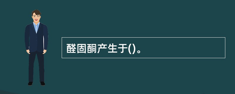 醛固酮产生于()。