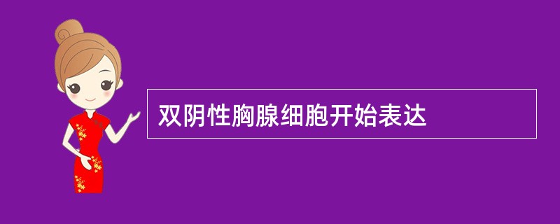 双阴性胸腺细胞开始表达