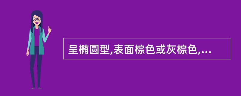 呈椭圆型,表面棕色或灰棕色,有13~20条纵向凹凸不平的突起棱线的药材是()