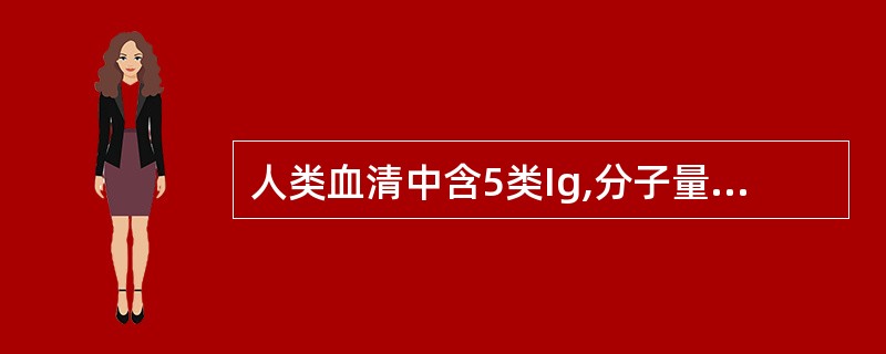 人类血清中含5类Ig,分子量最大的是