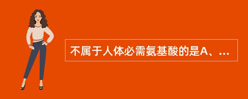 不属于人体必需氨基酸的是A、赖氨酸B、色氨酸C、精氨酸D、苏氨酸E、蛋氨酸 -