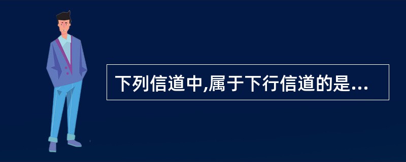 下列信道中,属于下行信道的是()A、PDSCHB、PRACHC、PUSCHD、P