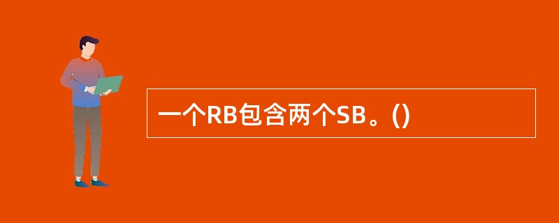 一个RB包含两个SB。()