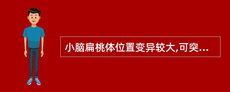 小脑扁桃体位置变异较大,可突入枕骨大孔,但不超过
