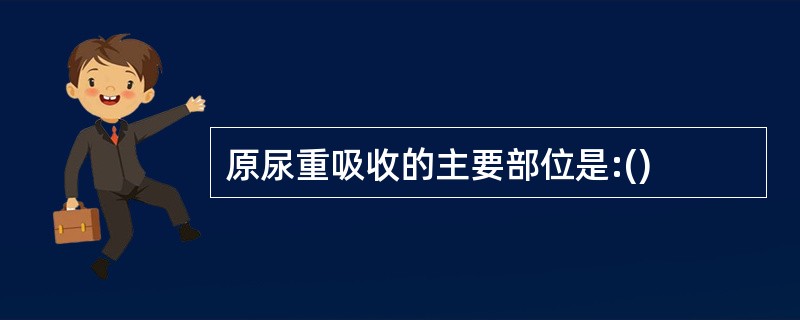 原尿重吸收的主要部位是:()