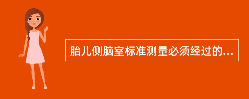 胎儿侧脑室标准测量必须经过的结构是