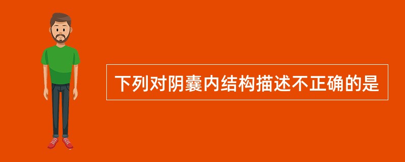 下列对阴囊内结构描述不正确的是