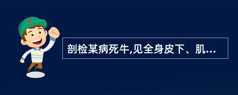 剖检某病死牛,见全身皮下、肌间、黏膜和浆膜有大量的出血点和出血斑,淋巴结肿大、切