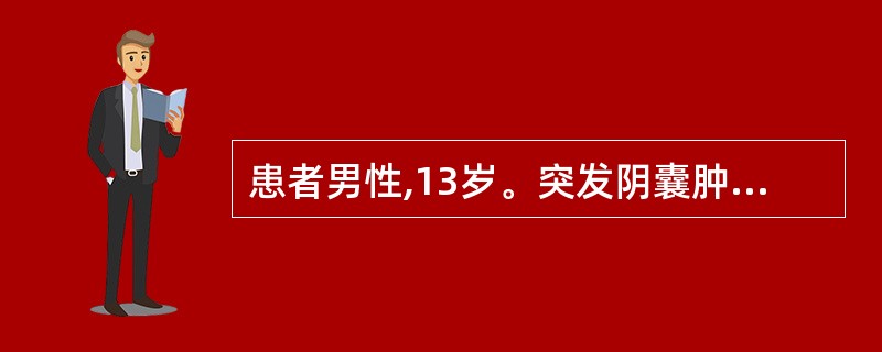 患者男性,13岁。突发阴囊肿胀,剧痛而来院诊治。超声显示:睾丸增大,回声增强,睾