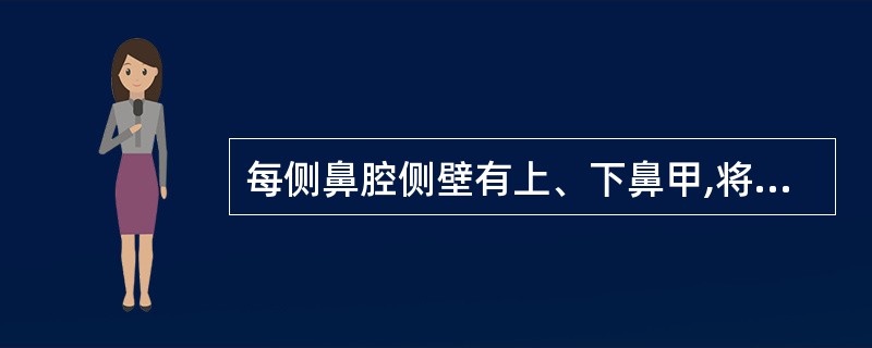 每侧鼻腔侧壁有上、下鼻甲,将鼻腔分为上鼻道、中鼻道、下鼻道和总鼻道,其中上鼻道通