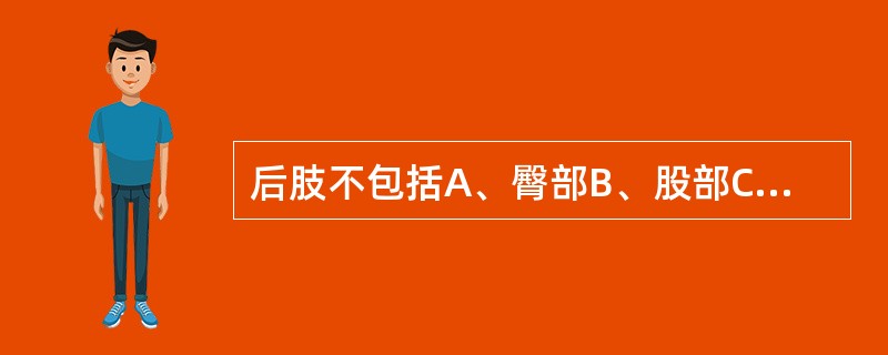 后肢不包括A、臀部B、股部C、膝部D、小腿部E、指部