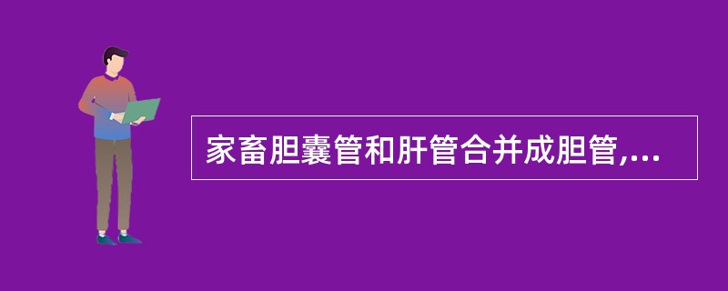 家畜胆囊管和肝管合并成胆管,开口于( )。A、十二指肠B、空肠C、回肠D、大肠E