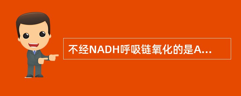 不经NADH呼吸链氧化的是A、琥珀酸B、苹果酸C、β£­羟丁酸D、异柠檬酸E、谷