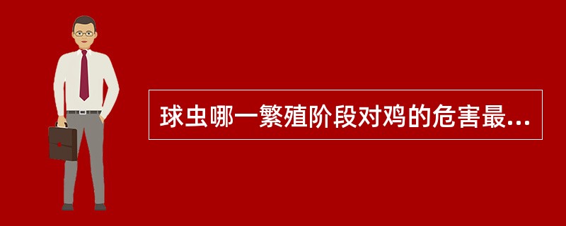 球虫哪一繁殖阶段对鸡的危害最大A、孢子生殖B、配子生殖C、裂殖生殖D、内双芽生殖