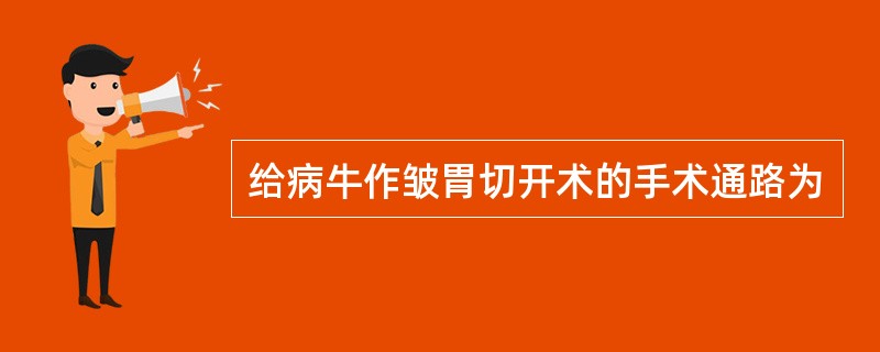 给病牛作皱胃切开术的手术通路为