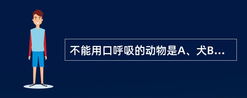 不能用口呼吸的动物是A、犬B、猫C、牛D、猪E、马