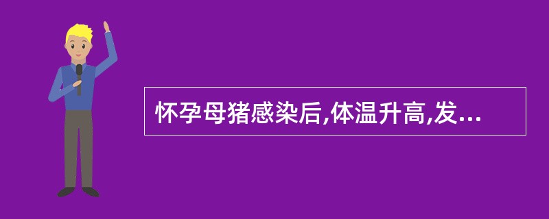 怀孕母猪感染后,体温升高,发生流产、死产、木乃伊胎;一般胎儿产出后,症状随即减退