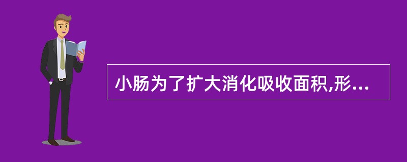 小肠为了扩大消化吸收面积,形成了下列多种结构,其中不正确的是( )A、肠绒毛B、