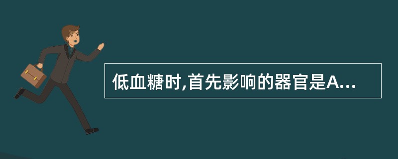 低血糖时,首先影响的器官是A、心B、脑C、肾D、肝E、胰